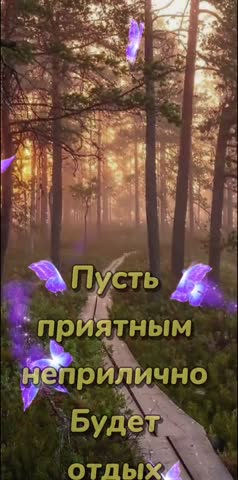 4_6022861308087501855