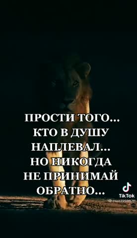 14988e762516e4c54f32efce159cb0e5