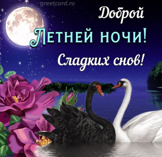 Спокойной ночи