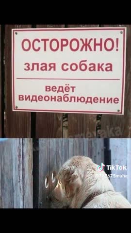 32cc3ab0f944a783f6ea295f50f85548