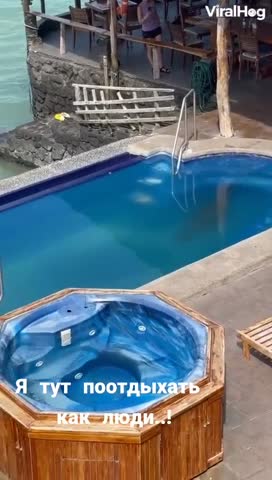 Отдыхать как люди