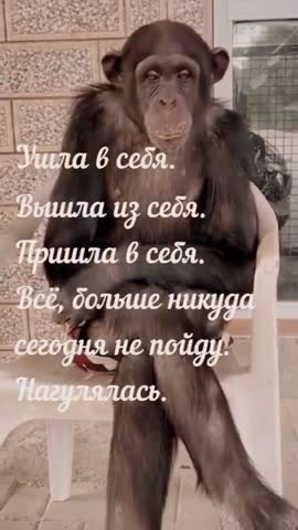 An-LHHv9EvpXKN3w4oefGfJu9sUP4Xl1Hn76Oafu4SkdFweXiCh6bGY_6JqMtZ-fO7j9l4tdyikvYzftZXxahwc