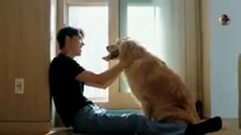 проектMatitaModern