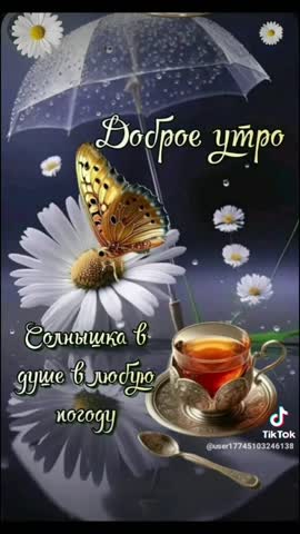 107e5e8ebee9146adf38ebe4850fc98f