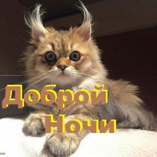 IMG-e7d7b76bb4040f2bd372186a4a011445-V