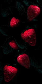 _Y9uPm6O3vM