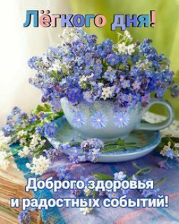 Foiz_PRO_218ba3fa3d857476de7bc48b6cf8748a