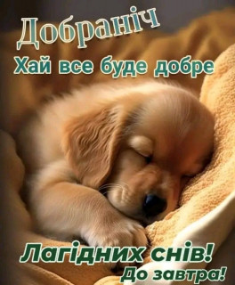 IMG-4eaea05a27c1d5f5826de3528a686164-V