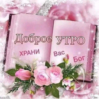 Foiz_PRO_IMG-81e5ef0ce9859b5625407eee19466700-V