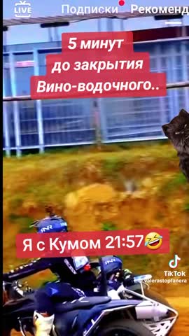 0cf3689c8f79a2ed809ba622c6e540a2