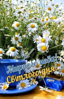 FB_IMG_17189433488848661