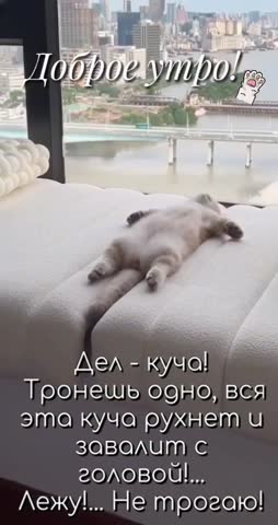Дел куча