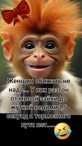 Не обижайте женщин