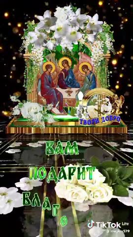 2_5458643377241212285