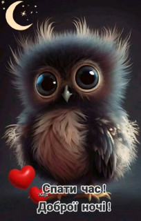 FB_IMG_17191743267951922