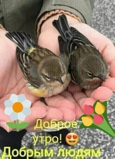 IMG-a4f2f780626a543a82a9197fc16acdab-V