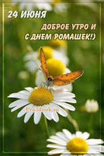 IMG-20ce93e9568c648f547245c7fe36c0ad-V