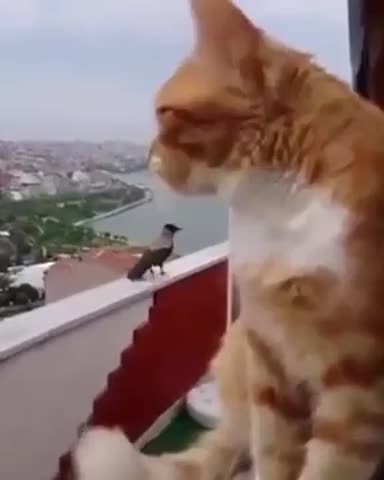 ты_обиделась