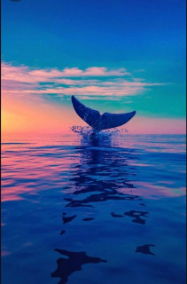 SgdkEbt9A_4