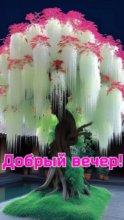 IMG-939f429b557a01dbe64bfcf2f0022dfd-V