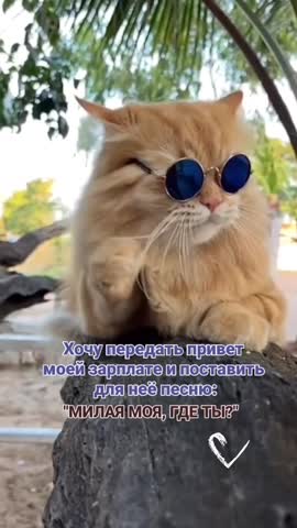 передайте_песенку