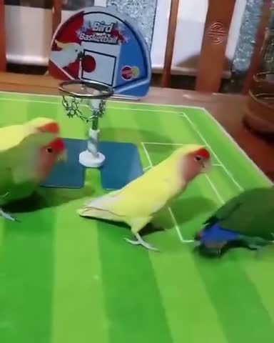 спорт_спорт