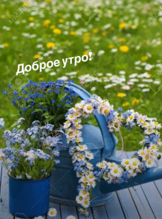 IMG-cc9c39b4d23b9761dabf792ce4a1c276-V