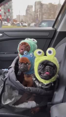 едем_по_делам