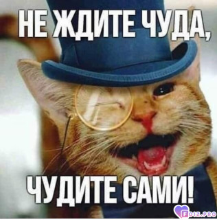 Foiz_PRO_-395983-Не-ждите-чуда-