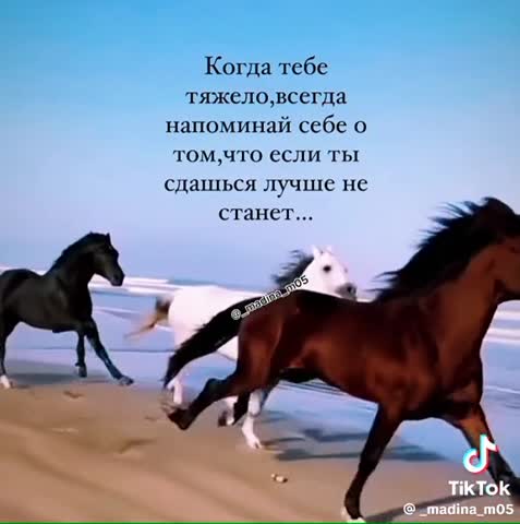 dd814f26a879b6104799acf99ede0380