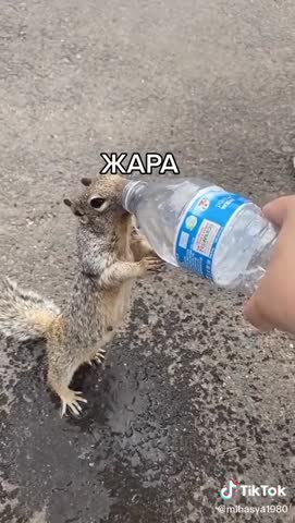 ЖаРа