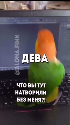 VID_20240706_193409_184