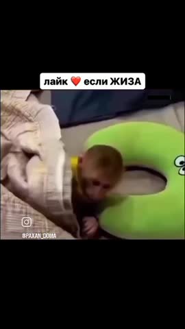 Пойду посмотрю
