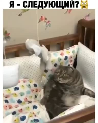 Я_следующий