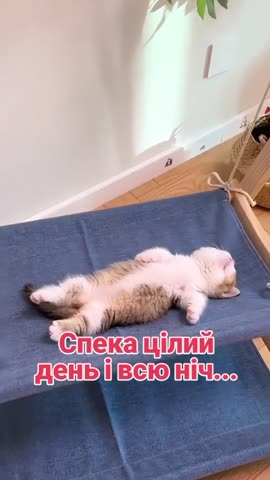 Спека_цілий_день_і_всю_ніч___