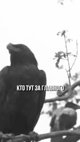 Легче договориться