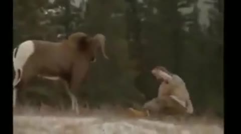 VID-20240706-WA0000