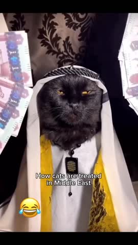 VID_20240707_164615_252