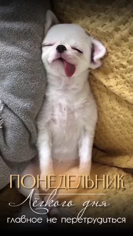 Понедельник