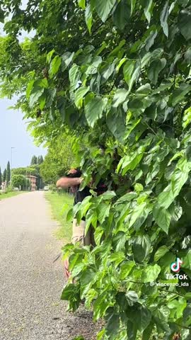 f6cfb8a25b3efc9a1a3fa86328506b80