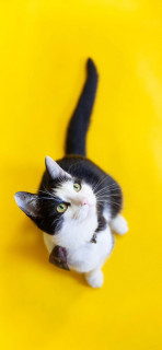 bV5I4DHUnrSHrTdxQH0S5SxHw6G-59TXfq_02I4VUlzTgxt0tpf1tTYF1vrKc3TCo7KRK_skxKxbED5lzmBGIFWE