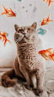 Nqedbh98o3kHkT53ZPTuLftIahgcuknzS-DXfMahNqIAScev_rSlrSs9i9FhXZQTew8ArSwaNvIpNEw8HPgOeBrI