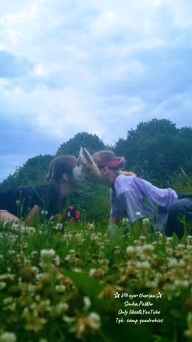 -Встреча-2-кошек-