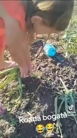 чудо_урожай