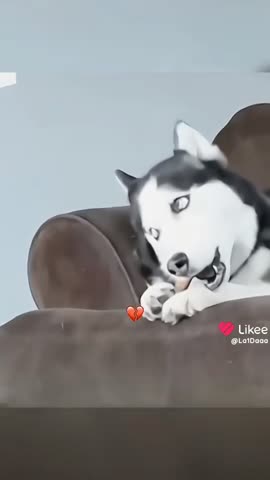 VID_20240724_003412_714