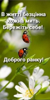 IMG-87b6903596c87e645ff5cc48fc995053-V