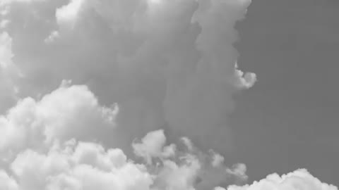 Foiz_PRO_С_любимыми_не_расставайтесь__Максим_Фадеев_и_Наргиз_