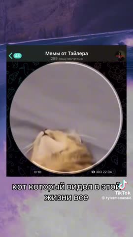 3102eb2c54542be776f7a08b00e0db69