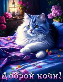 IMG-ffe474fcc3869f7cd4ebe67041f47bf8-V