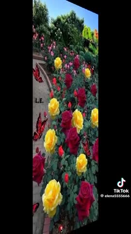 Доброе утро